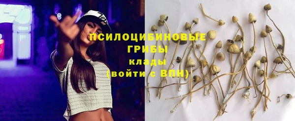 mdma Новозыбков