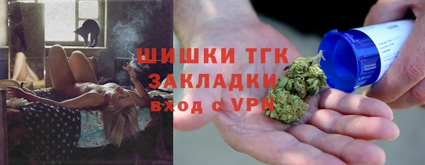 сатива Новокубанск