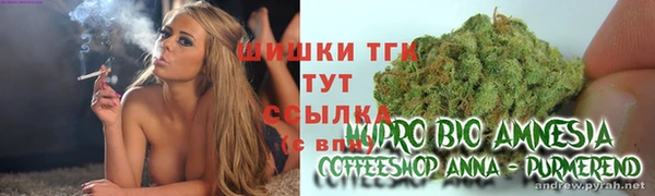 mdma Новозыбков