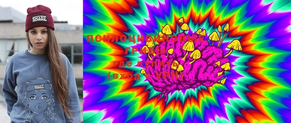 mdma Новозыбков