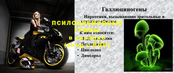 сатива Новокубанск