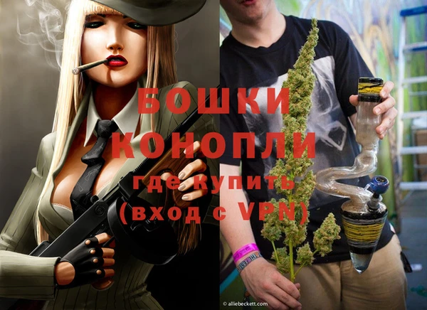 сатива Новокубанск